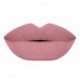 TOP 3 Matte Lipstick 3 Pcs. Ensemble