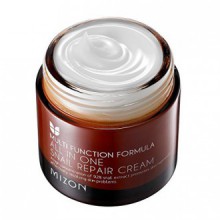 MIZON All In One Snail Crème Réparatrice, 75 Grams