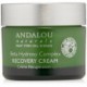 Andalou Naturals clara recuperación Noche Crema, 1,7 onza